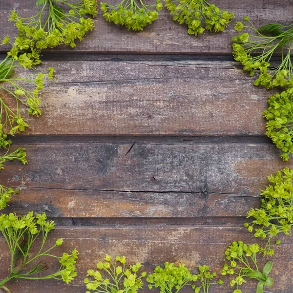 Background Dark Horizontal Wooden Planks Framed Green Maple Flowers Twigs — 스톡 사진