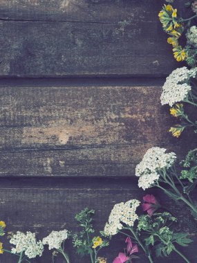multicolored wildflowers are arranged in a semicircle on a wooden table background. White yarrow inflorescences, yellow grass mouse peas, pink ivy geranium. Horizontal boards. Romantic rustic style