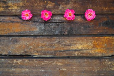 Buds of spray pink terry roses on a wooden background. Four beautiful roses are laid out on the table in a horizontal line. copy space. Free space for text. Card, surface layout