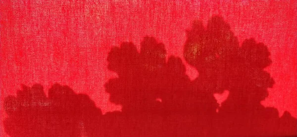 Ombra Fiori Foglie Densa Tenda Rossa Trasmette Luce Del Sole — Foto Stock