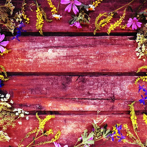 Wildflowers arranged in a circle on a wooden table background. Chamomile, sweet clover, wild geranium, bluebells, parsley inflorescences. Wooden horizontal boards. Red toning