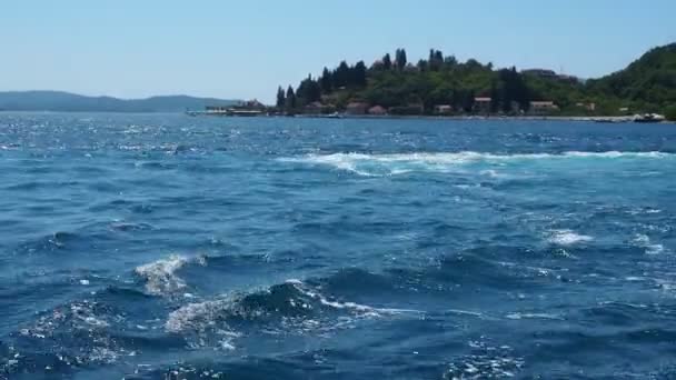 Boka Kotor Adriatic Sea Verige Strait Kamenari Lepetane Ferry Line — Stock Video