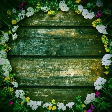 multicolored wildflowers are arranged in a circle on a wooden table background. White yarrow inflorescences, yellow grass mouse peas, pink ivy geranium. Horizontal boards. Rrustic style. Green tone