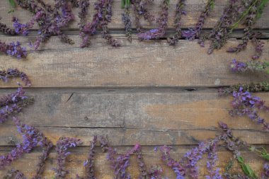 Ahşap bir masa üzerinde lavanta ve adaçayı çiçekleri. Mor ve mavi çiçekleri ve yaprakları olan eski koyu renkli tahtalardan oluşan yatay tahtalar. Durgun bir hayat ve düz bir hayat. Metin için boş alan. Boşluğu kopyala