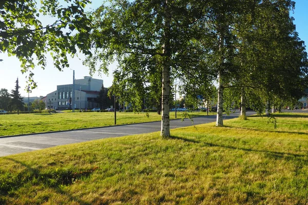 Abedules Verdes Cerca Plaza Kirov Kirovan Lagevo Kirovin Aukio Centro —  Fotos de Stock