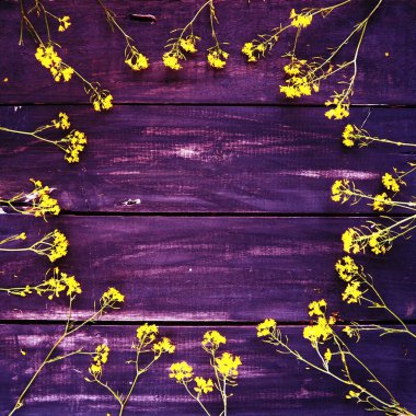 Sarı kolza çiçekleri ahşap arka planda bir çember şeklinde serilmiş. Yaban çiçekleri masanın üzerinde. Kopyalama uzayı hala hayat. Metin için boş alan. Brassica napus Cabbageaceae. Eflatun tonlama.