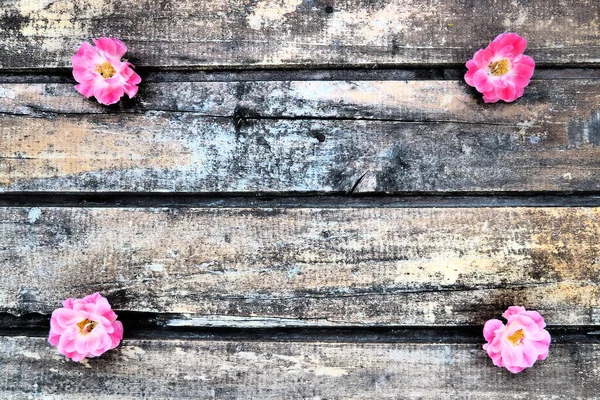 Buds of spray pink terry roses on a wooden background. Four beautiful roses are laid out on the table in the corners. Copy space. Free space for text. Postcard, layout on the surface.