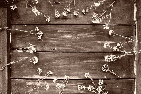 Kolza Tohumu Çiçekleri Ahşap Masanın Üzerinde Bir Daire Şeklinde Serilmiştir — Stok fotoğraf
