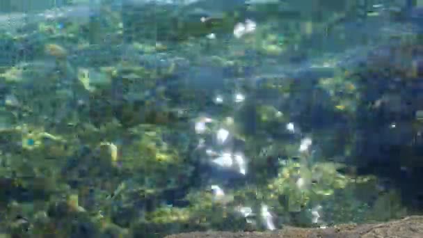 绿色蓝绿色蓝绿色透明海咸水质感 水面的顶部视图和波纹 水波背景 水晶般的海水中 可以看到水藻的石底 — 图库视频影像