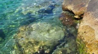 Yeşil mavi turkuaz şeffaf deniz tuzlu su dokusu. Su yüzeyinin üst görüntüsü ve dalgalanmalar. Su dalgaları arka planda. Alglerle kayalık taban kristal su yoluyla görülebilir..