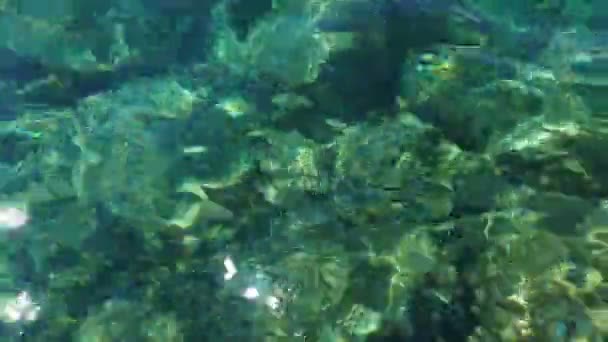 Zielony Lazurowy Turkusowy Niebieski Przezroczysty Morski Słona Woda Tekstura Widok — Wideo stockowe
