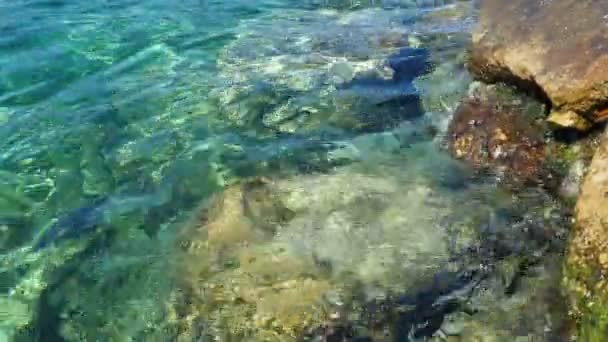 Grön Azure Turkos Blå Transparent Hav Salt Vatten Konsistens Ovanifrån — Stockvideo