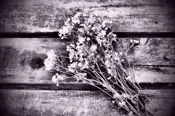 木の背景にある房や花束に収集された菜の花 野生の花はテーブルの上にきれいに配置されています テキストのための無料スペース アブラナ科のアブラナ科 白黒モノクロ写真 — ストック写真