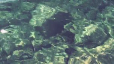 Yeşil mavi turkuaz şeffaf deniz tuzlu su dokusu. Retro tarzı. Su yüzeyi ve dalgalar. Su dalgaları arka planda. Alglerle kayalık taban kristal su yoluyla görülebilir..