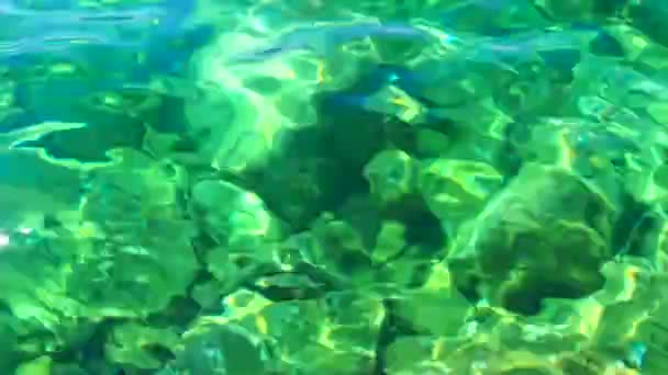 Verde Azzurro Turchese Blu Trasparente Acqua Salata Texture Vista Dall — Video Stock