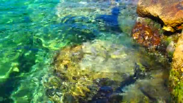 Πράσινο Γαλάζιο Τυρκουάζ Μπλε Διάφανη Υφή Θαλασσινού Αλμυρού Νερού Κάτοψη — Αρχείο Βίντεο