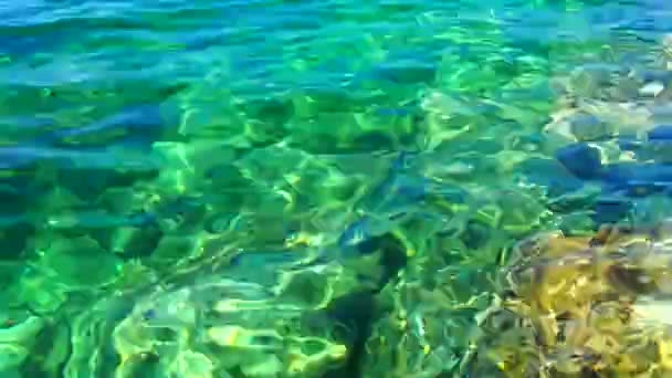 Vert Azur Turquoise Bleu Transparent Texture Eau Salée Mer Vue — Video