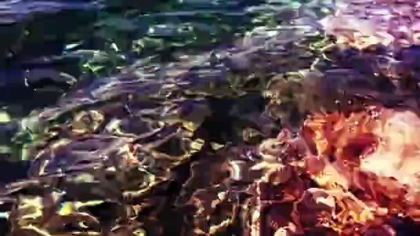 Сюрреалістичний Абстрактний Зсувний Фон Нагадує Стиснуту Воду Червона Прозора Текстура — стокове відео