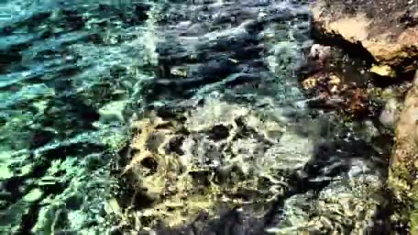 波打つ水を思わせるシュールな抽象的なシフトの背景 緑の紺碧のターコイズブルーの透明な海の水のテクスチャ 水面と波紋の上からの眺め 波浪の背景 — ストック動画