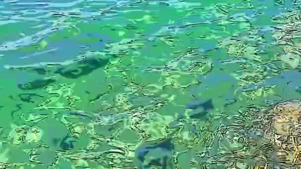Ein Surrealer Abstrakter Hintergrund Der Plätscherndes Wasser Erinnert Grün Azurblau — Stockvideo