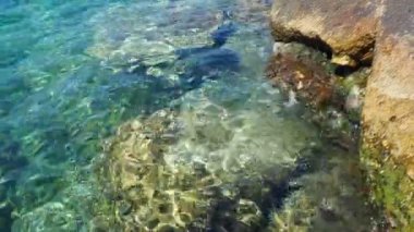 Yeşil mavi turkuaz şeffaf deniz tuzlu su dokusu. Su yüzeyinin üst görüntüsü ve dalgalanmalar. Su dalgaları arka planda. Alglerle kayalık taban kristal su yoluyla görülebilir..