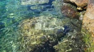 Yeşil mavi turkuaz şeffaf deniz tuzlu su dokusu. Ağır çekim. Su yüzeyi ve dalgalar. Su dalgaları arka planda. Alglerle kayalık taban kristal su yoluyla görülebilir..