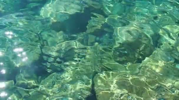 Vert Azur Turquoise Bleu Transparent Texture Eau Salée Mer Ralenti — Video