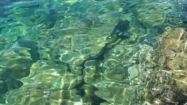 Verde Azul Turquesa Azul Transparente Mar Textura Água Salgada Movimento — Vídeo de Stock