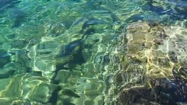 Verde Turquesa Azul Turquesa Transparente Agua Salada Textura Cámara Lenta — Vídeos de Stock