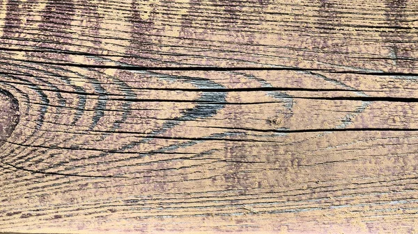 Textura Starého Dřeva Pahýl Zblízka Hluboké Trhliny Dřevěném Povrchu Hmyzí — Stock fotografie