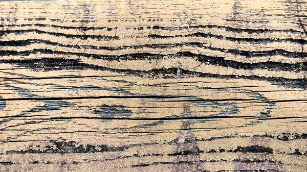 Textura Madera Vieja Primer Plano Del Muñón Grietas Profundas Superficie —  Fotos de Stock