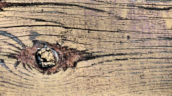 Texture Old Wood Stump Close Deep Cracks Wooden Surface Insect — Stock Photo, Image
