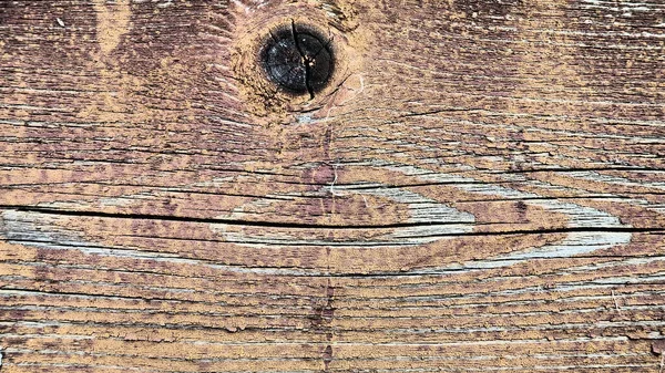 Texture Old Wood Stump Close Deep Cracks Wooden Surface Insect — Stock Photo, Image