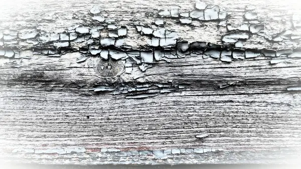 Régi Textúrája Stump Közelkép Mély Repedések Felületen Rovarjáratok Szerkezetek Kopott — Stock Fotó