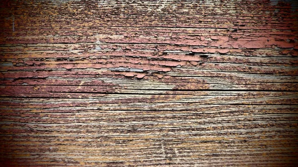 Textura Starého Dřeva Pahýl Zblízka Hluboké Trhliny Dřevěném Povrchu Hmyzí — Stock fotografie