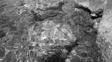 Şeffaf deniz tuzlu su dokusu. Su yüzeyinin üst görüntüsü ve dalgalanmalar. Su dalgaları arka planda. Alglerle kayalık taban. Su sıçratan dalgalar kayalara çarpıyor. Tek renkli ağır çekim