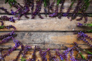 Ahşap bir masa üzerinde lavanta ve adaçayı çiçekleri. Mor ve mavi çiçekleri ve yaprakları olan eski koyu renkli tahtalardan oluşan yatay tahtalar. Durgun bir hayat ve düz bir hayat. Metin için boş alan. Boşluğu kopyala