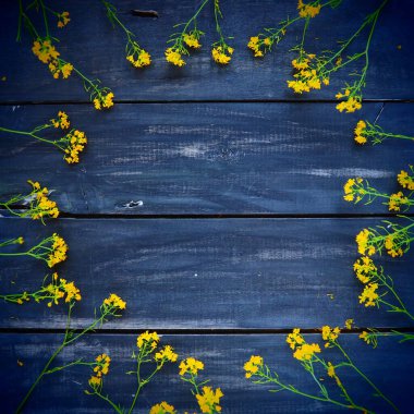 Sarı kolza çiçekleri ahşap arka planda bir çember şeklinde serilmiş. Yaban çiçekleri masanın üzerinde düzgünce düzenlenir. Kopyalama uzayı hala hayat. Metin için boş alan. Brassica napus Cabbageaceae. Tahta tepsi.