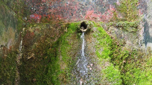 Banja Koviljaca 塞尔维亚 Guchevo Loznica 春天三个源头 治疗从Guchevo山流出的矿泉水 岩石上的苔藓和苔藓 — 图库照片