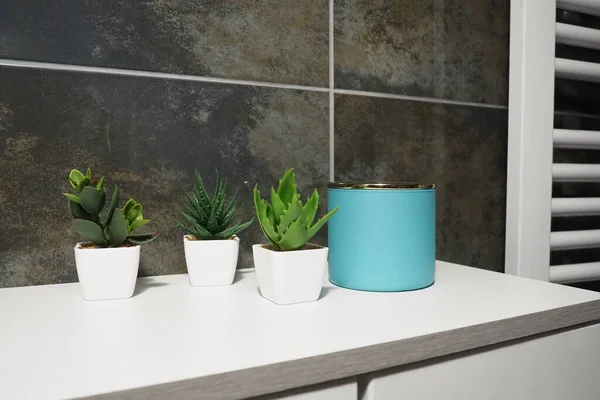 Bathroom decor elements. A blue jar of cream and green plants in small white pots stand on a cabinet shelf. Black wall tiles. Bathroom and toilet interior. Radiator on the wall