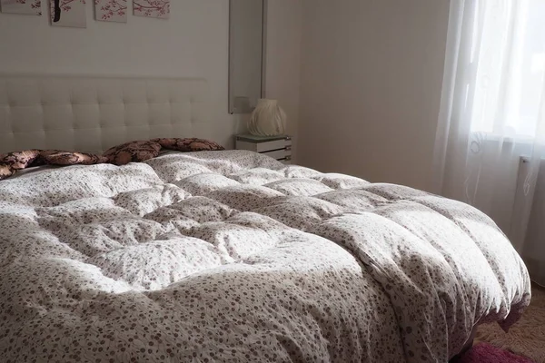 Άνετο Συμπαγές Υπνοδωμάτιο Λευκά Έπιπλα Ροζ Χαλί Και Τούλι Κουρτίνες — Φωτογραφία Αρχείου