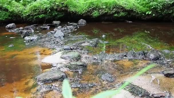 Skalnatý Lesní Potok Železnou Hnědou Průzračnou Vodou Voda Teče Bublá — Stock video