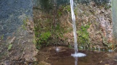 Banja Koviljaca, Sırbistan, Guchevo, Loznica. İlkbahar Üç kaynakları. Guchevo Dağı 'ndan akan maden suyu. Kayanın üzerinde yosun ve liken var. Su damlası