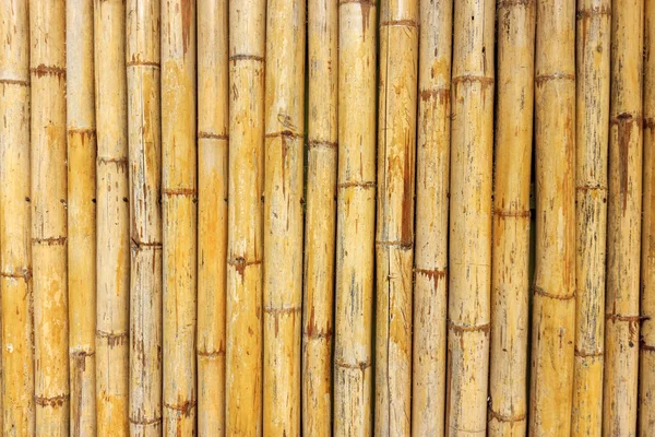 Bamboo wall — Stockfoto