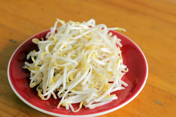Beansprout — 스톡 사진