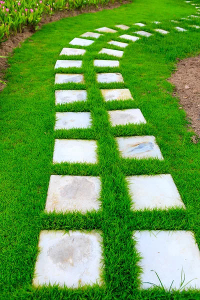 Kerti kő láb kerti ösvény-val fű — Stock Fotó