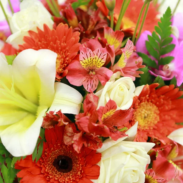 Bunch of colorful flowers — Stock Photo, Image