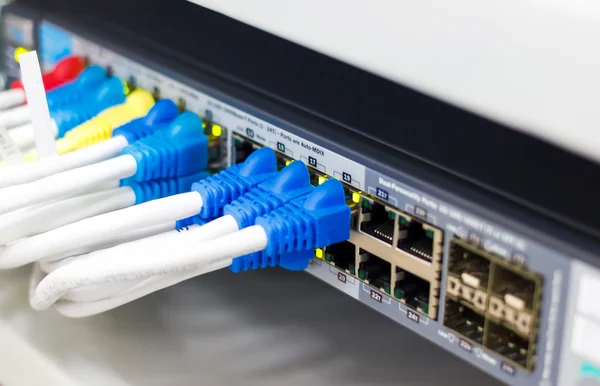 Sunucu ağda geçiş için Ethernet rj45 kablosu bağlı — Stok fotoğraf