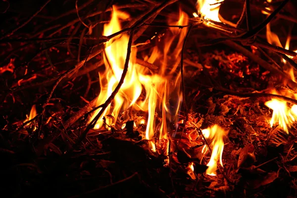 Kızıl ateş — Stok fotoğraf