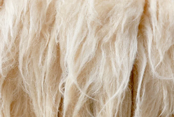 Sheep fleece for texture background — Stock Photo, Image